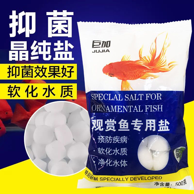 晶純鹽放在魚缸哪里：晶純鹽在魚缸中的作用 魚缸百科 第5張