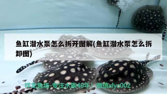 魚缸水泵如何拆開維修方法：魚缸水泵如何拆開和維修