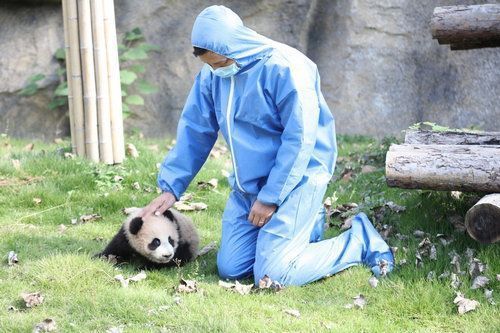 水族館是干什么的工作：水族館展覽設(shè)計的創(chuàng)意來源,水族館動物保護教育的方式