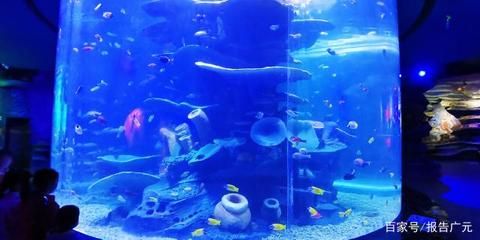 廣元水族館：四川省廣元水族館位于四川省廣元水族館附近的水上樂園 全國觀賞魚市場 第3張