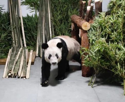 海北藏族自治州水族館：北海北藏族自治州旅游攻略