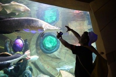 水族館叫什么名字：世界最大的水族館——喬治亞水族館 水族館百科（水族館加盟） 第4張