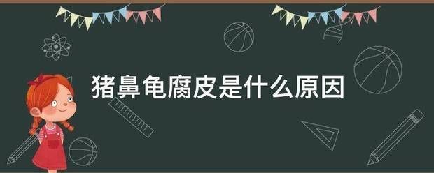 豬鼻龜身上白色腐爛圖片大全：豬鼻龜爛甲腐皮怎么辦 豬鼻龜百科 第9張