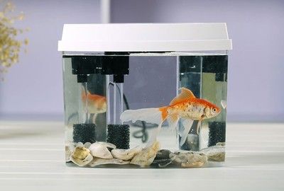 魚缸的品牌十大品牌：佳寶jebo品牌發(fā)展歷程：博宇水族器材技術(shù)創(chuàng)新