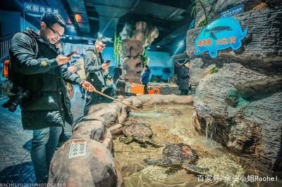 六安水族館：六安水族館六安水族館六安水族館 全國(guó)觀賞魚(yú)市場(chǎng) 第2張