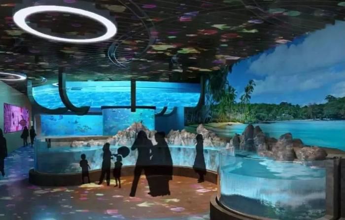 水族館利潤(rùn)大嗎現(xiàn)在：水族館利潤(rùn)分析 水族館百科（水族館加盟） 第4張