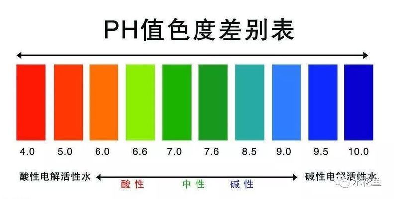 20厘米龍魚喂食量表：20厘米龍魚的喂食量表 水族問答 第1張