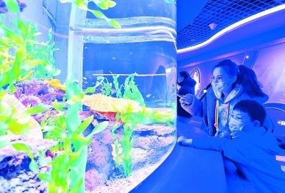 水族館運營管理：水族館的運營管理 水族館百科（水族館加盟） 第1張