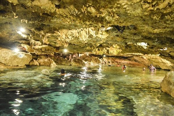 邵陽水族批發(fā)市場：邵陽水族批發(fā)市場在哪里 全國觀賞魚市場 第7張