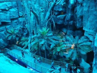 長春水族館：長春旅游攻略之長春水族館