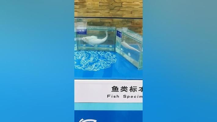 長春水族館：長春旅游攻略之長春水族館