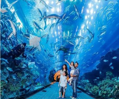 開一家水族館能掙錢嗎：開一家水族館是否能掙錢 水族館百科（水族館加盟） 第5張