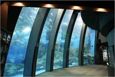 水族館靠什么盈利：水族館如何制定水族館門票價格策略 水族館百科（水族館加盟） 第4張