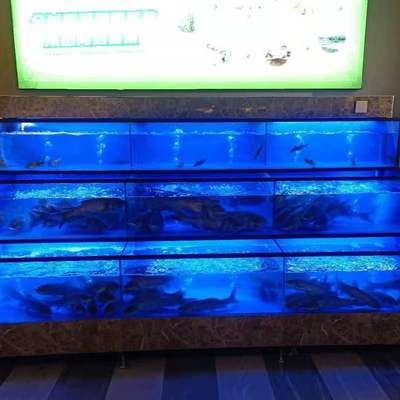 水族館魚缸多層制作方法：關(guān)于水族館魚缸多層制作方法 水族館百科（水族館加盟） 第2張