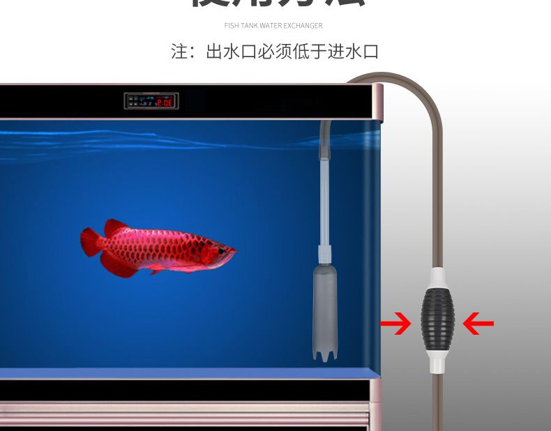 魚缸虹吸圖片：關(guān)于魚缸虹吸的詳細解釋和工作原理圖解