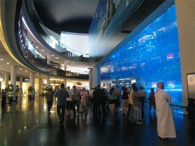 白山水族館：白山市渾江區(qū)聚龍閣水族館