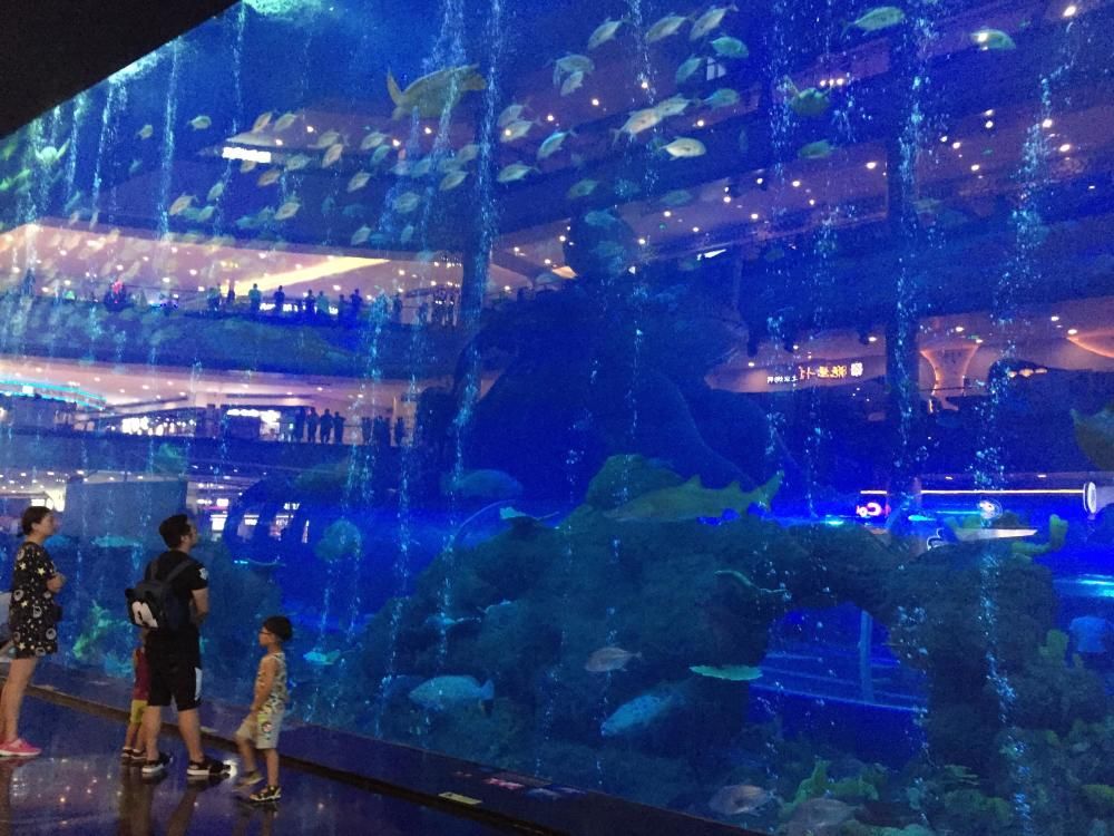 白山水族館：白山市渾江區(qū)聚龍閣水族館