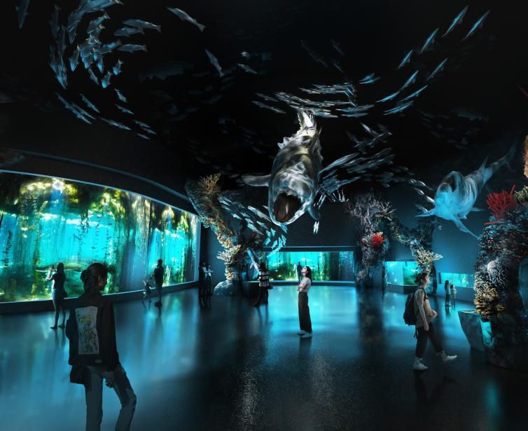 白山水族館：白山市渾江區(qū)聚龍閣水族館