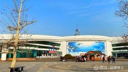 泰安水族館：親子游玩攻略，泰安水族館海洋生物科普，泰山水族館游客評價如何 全國觀賞魚市場 第1張