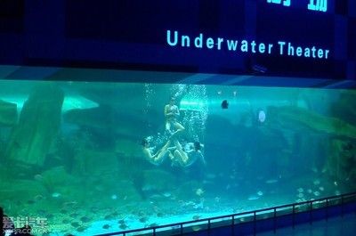 泰安水族館：親子游玩攻略，泰安水族館海洋生物科普，泰山水族館游客評價如何 全國觀賞魚市場 第10張