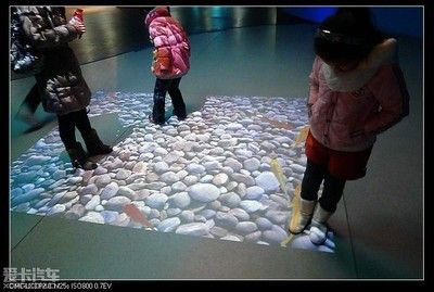 泰安水族館：親子游玩攻略，泰安水族館海洋生物科普，泰山水族館游客評價如何 全國觀賞魚市場 第14張