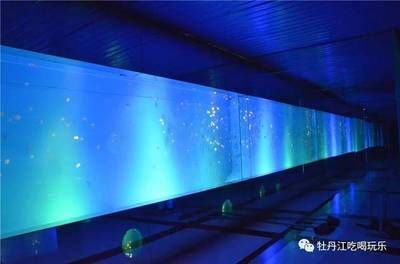 牡丹江水族館：時(shí)代附近水族館