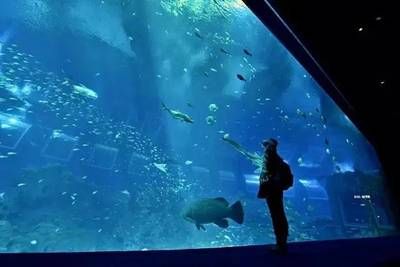 牡丹江水族館：時代附近水族館