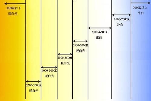 龍魚專用燈管和普通燈管啥區(qū)別啊：如何選擇適合龍魚的燈管 龍魚百科 第5張