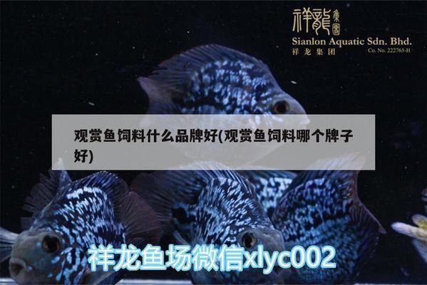 廈門水族批發(fā)市場：廈門哪里有水族市場 全國觀賞魚市場 第11張