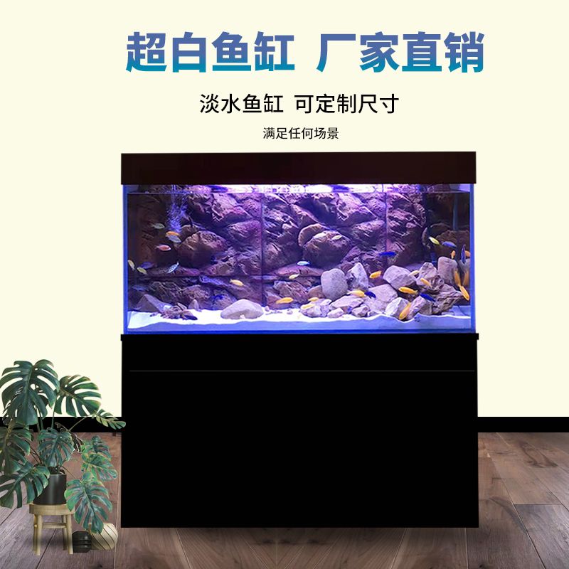 金晶魚缸質(zhì)量好嗎：金晶魚缸與普通魚缸對比，金晶魚缸適用魚類推薦