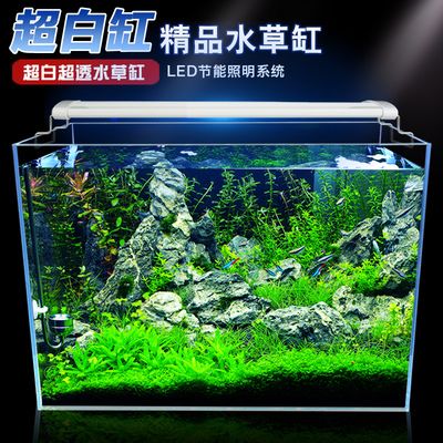 金晶魚缸質量好嗎：金晶魚缸與普通魚缸對比，金晶魚缸適用魚類推薦 魚缸百科 第2張