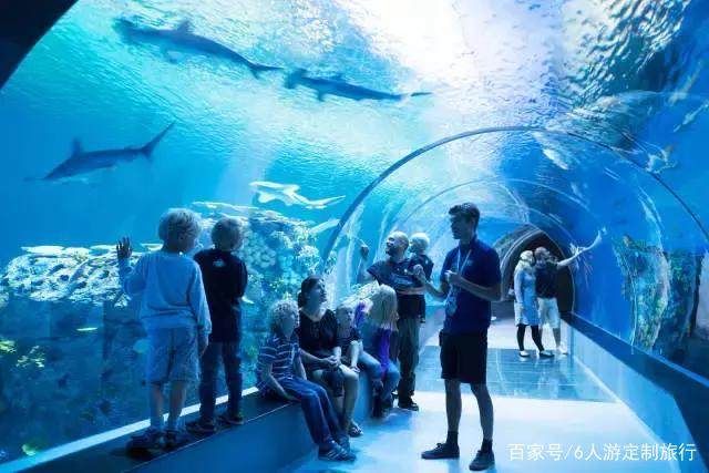 適合水族館的名字：水族館主題裝飾設(shè)計(jì) 水族館百科（水族館加盟） 第5張