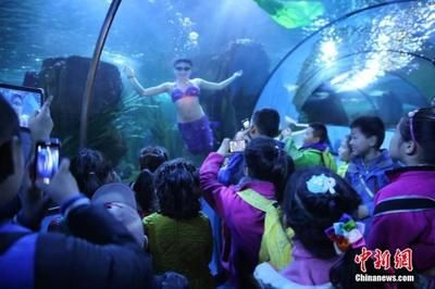 水族館有什么工作：動(dòng)物醫(yī)生的疾病治療方法介紹水族館工作人員的疾病治療方法介紹 水族館百科（水族館加盟） 第3張