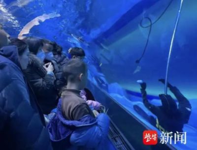 水族館有什么工作：動(dòng)物醫(yī)生的疾病治療方法介紹水族館工作人員的疾病治療方法介紹 水族館百科（水族館加盟） 第2張