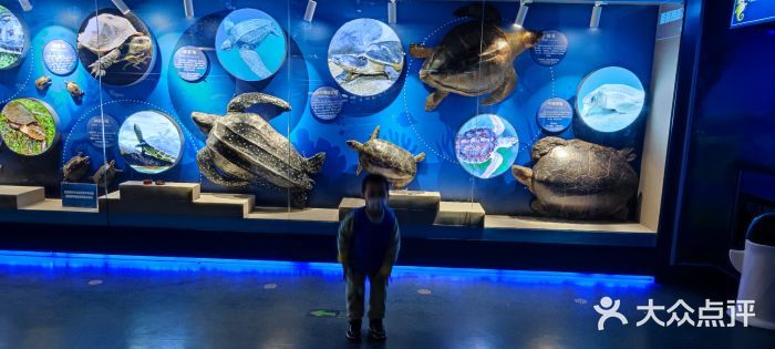 水族館開業(yè)廣告宣傳語：親子游水族館特色展覽介紹：親子游水族館優(yōu)惠票價(jià)信息 水族館百科（水族館加盟） 第4張