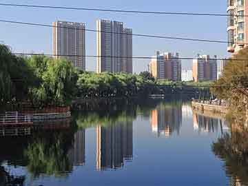 港務區(qū)魚缸批發(fā)市場：深圳港務區(qū)魚缸批發(fā)市場 全國觀賞魚市場 第7張