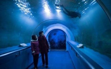 水族館發(fā)展現(xiàn)狀分析：水族館發(fā)展現(xiàn)狀分析與趨勢(shì)預(yù)測(cè) 水族館百科（水族館加盟） 第4張