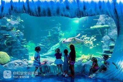 在水族館的英語：全球著名水族館排名,水族館設(shè)計的創(chuàng)新趨勢創(chuàng)新趨勢 水族館百科（水族館加盟） 第3張