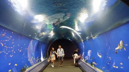 在水族館的英語：全球著名水族館排名,水族館設(shè)計的創(chuàng)新趨勢創(chuàng)新趨勢 水族館百科（水族館加盟） 第1張