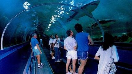 在水族館的英語：全球著名水族館排名,水族館設(shè)計的創(chuàng)新趨勢創(chuàng)新趨勢 水族館百科（水族館加盟） 第4張