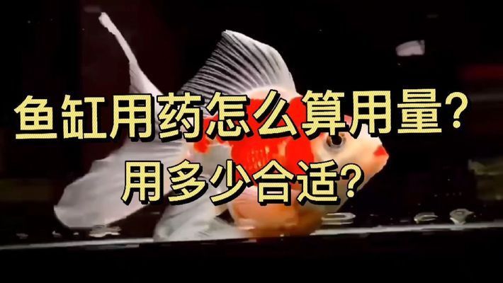 觀賞魚(yú)用藥劑量計(jì)算指南：觀賞魚(yú)用藥劑量計(jì)算指南是如何安全有效地給魚(yú)類使用藥物的實(shí)用指南 觀賞魚(yú)百科 第5張