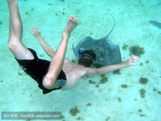 黑金魟魚(yú)呼吸急促急救措施：黑金魟魚(yú)呼吸急促可能是由多種原因引起的 魟魚(yú)百科 第2張