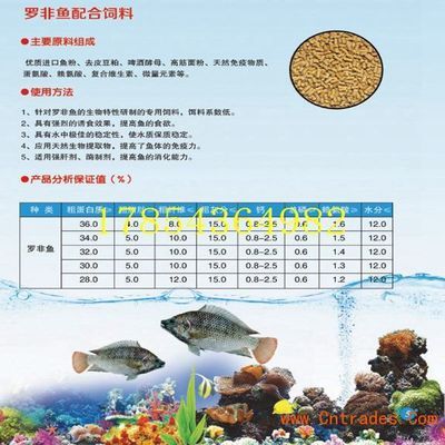 觀賞魚飼料保存方法：觀賞魚飼料的保存方法 觀賞魚百科 第2張