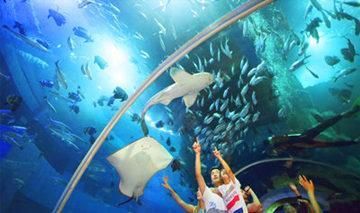 威海水族館：威海張村海洋水族館威海水族館威海水族館海洋水族館