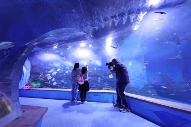 威海水族館：威海張村海洋水族館威海水族館威海水族館海洋水族館