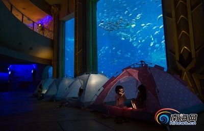 武威水族館：武威水族館武威水族館親子活動(dòng)水族館親子活動(dòng)攜程旅行 全國觀賞魚市場 第3張