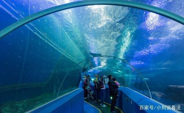 中國第一大水族館：上海海洋水族館