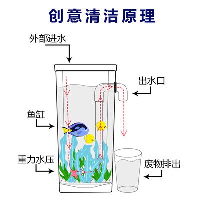 襄樊魚缸批發(fā)市場：襄樊水族批發(fā)市場在哪里 全國觀賞魚市場 第6張