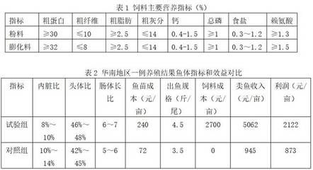 釣魚金龍魚：釣魚金龍魚的技巧 水族問答 第2張