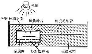 魚缸燈光定時(shí)器使用技巧：使用環(huán)境，魚缸燈光定時(shí)器對提高養(yǎng)魚便利性與體驗(yàn)的影響